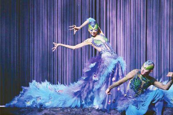 杨丽萍为艺术摘掉子宫真假 一生也没有孩子