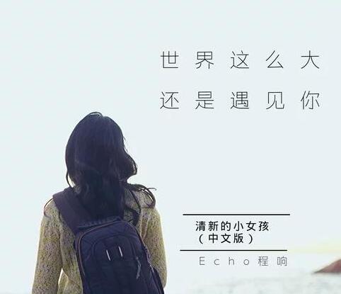 世界这么大还是遇见你表达什么意思