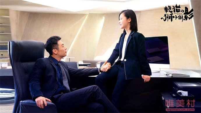 赖猫的狮子倒影讲述了什么 朱亚文杨子姗新剧