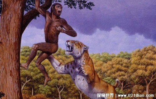 人类的天敌是谁 恐猫以人类为食吗？