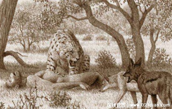 人类的天敌是谁 恐猫以人类为食吗？