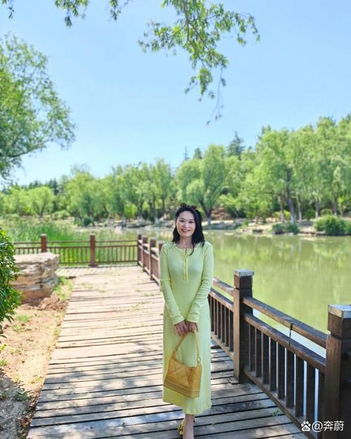 开罗口袋巴士 开罗口袋巴士大酒店游戏