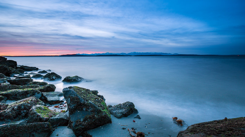 演员王珂个人资料及年龄