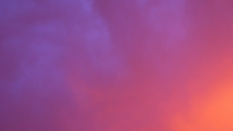 杨帆多少岁 杨帆年龄