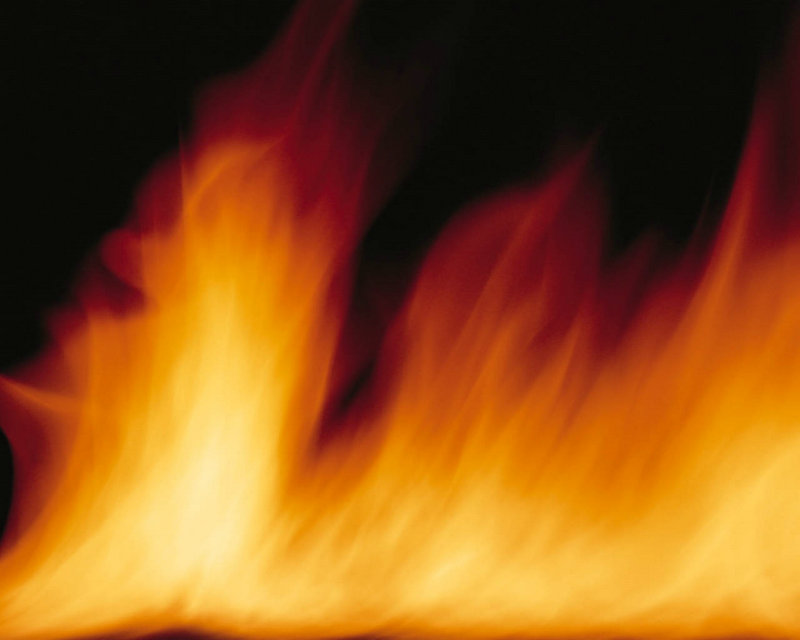 新还珠格格演员表所有人