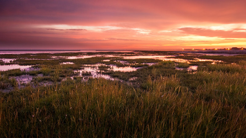 米热的粉丝名叫什么 米热啥意思