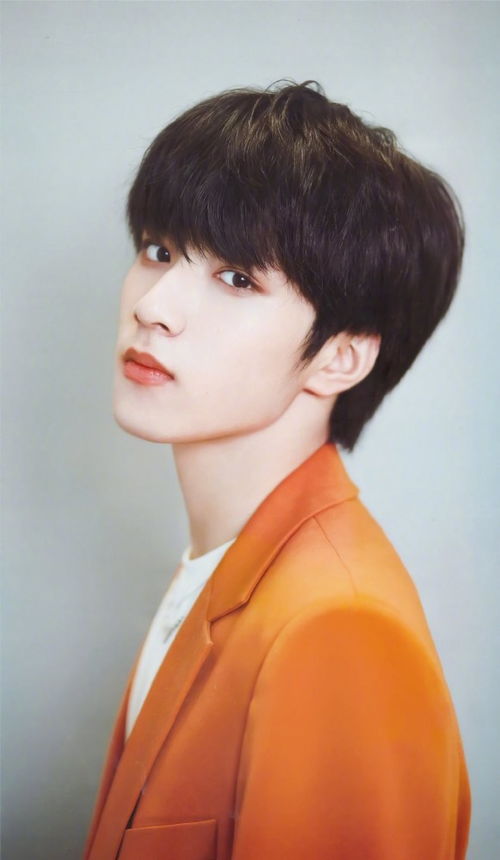 袁咏仪老公的个人资料简介