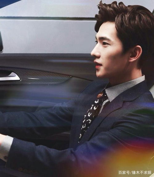 青眼白龙(青眼白龙王)