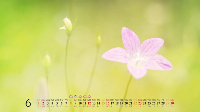 小舍得钟益是好人吗 小舍得钟益演技