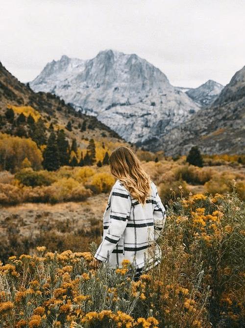 雷佳音哪年出生 雷佳音的年龄