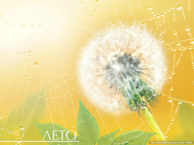 梁洛施面相 梁洛施面相很好为什么嫁不进豪门 梁洛施面相 梁洛施面相很好为什么嫁不进豪门